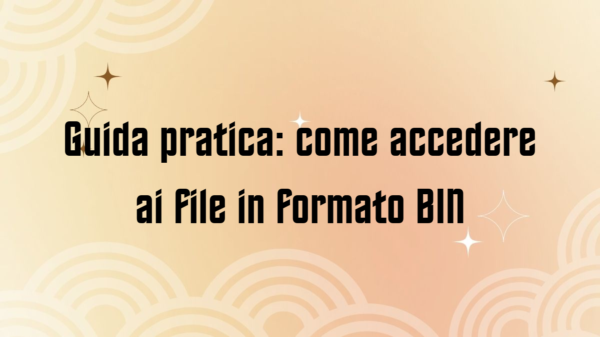 Guida pratica come accedere ai file in formato BIN