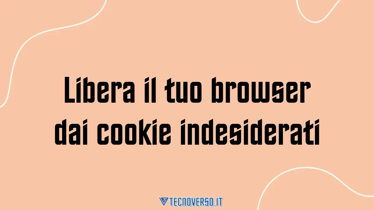 Libera il tuo browser dai cookie indesiderati